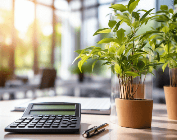 Corporate Tax & Accounting